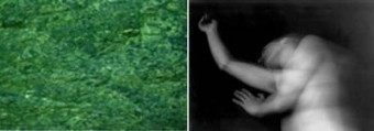 Anima Mundi  ( Wasser ) Anima Mundi  ( Wasser )