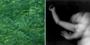 Anima Mundi  ( Wasser ) Anima Mundi  ( Wasser )