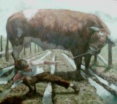 stier stier