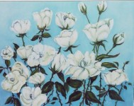 WITTE ROZEN WITTE ROZEN