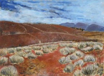 Spinifex Country