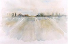 Polder Polder