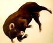flying bull Kunstwerk flying bull