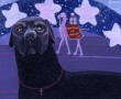 God bless all animals Kunstwerk God bless all animals