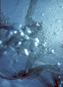 Oxygene Oxygene