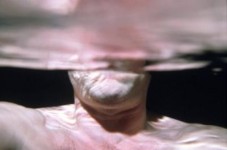From my point of view From my point of view