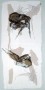 this is what it is Kunstwerk this is what it is