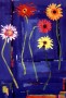Gerbera on Blue Kunstwerk Gerbera on Blue
