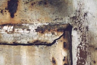 roest roest