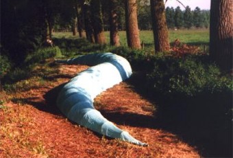 Aardworm Aardworm