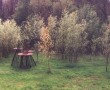 Hoge Tuin Kunstwerk Hoge Tuin