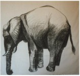 Olifant Olifant