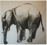 Olifant