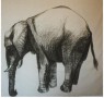 Olifant Kunstwerk Olifant