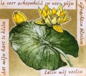 Grachten Bloeien Grachten Bloeien