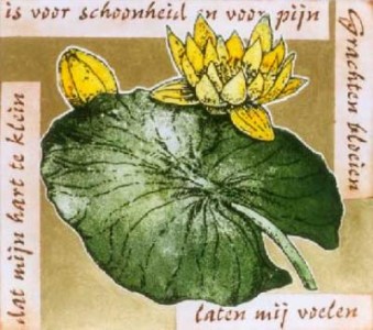 Grachten Bloeien Grachten Bloeien