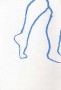 Blauwe benen Kunstwerk Blauwe benen