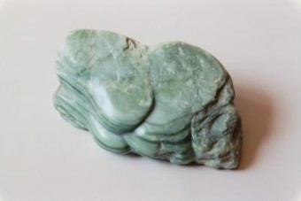 Venus Venus