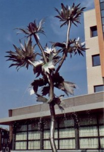 Distel Distel