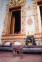 Kunstwerk thai temple dog