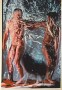 compassion Kunstwerk compassion