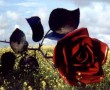 Een roos van Staal Kunstwerk Een roos van Staal