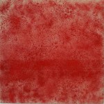 zonder titel - rood pigment