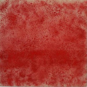zonder titel - rood pigment zonder titel - rood pigment