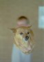Hond op hand Kunstwerk Hond op hand