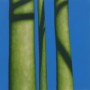 3 Kunstwerk 3