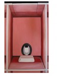 pink bog pink bog