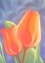 Lady Tulp Kunstwerk Lady Tulp