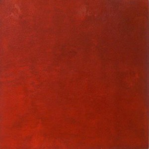 zonder titel - rood zonder titel - rood