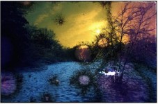 Yellow Sky '80 Yellow Sky '80