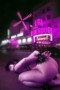 Moulin Rouge Kunstwerk Moulin Rouge