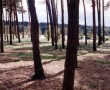Recreatie B Kunstwerk Recreatie B