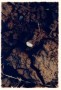 Aanroeringen I, (kermisringetjes voor B.),1 Kunstwerk Aanroeringen I, (kermisringetjes voor B.),1