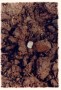 Aanroeringen I, (kermisringetjes voor B.), 2 Kunstwerk Aanroeringen I, (kermisringetjes voor B.), 2