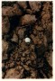 Aanroeringen I, (kermisringetjes voor B.), 4 Kunstwerk Aanroeringen I, (kermisringetjes voor B.), 4