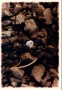 Aanroeringen I, (kermisringetjes voor B.),9 Kunstwerk Aanroeringen I, (kermisringetjes voor B.),9