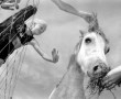 paard en kind Kunstwerk paard en kind