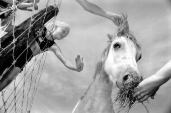 paard en kind paard en kind
