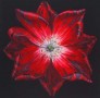 Very Beautiful Flowers 4 Kunstwerk Very Beautiful Flowers 4