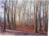 Haarlemmerhout Haarlemmerhout