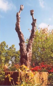 treelovers treelovers