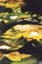 98 Kunstwerk 98