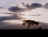 Kenya Sunset