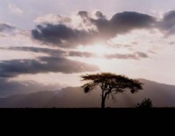 Kenya Sunset Kenya Sunset