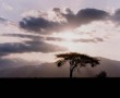 Kunstwerk Kenya Sunset