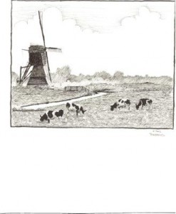 koeien in de polder koeien in de polder